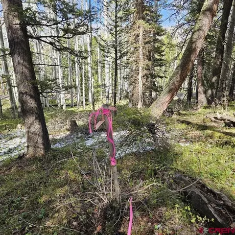 581 Crest Dr, Cimarron, CO 81220 photo 8