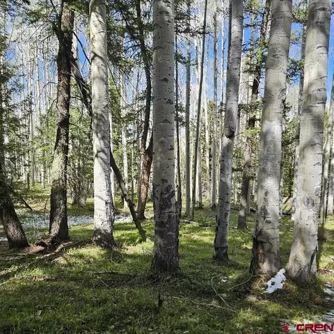 581 Crest Dr, Cimarron, CO 81220