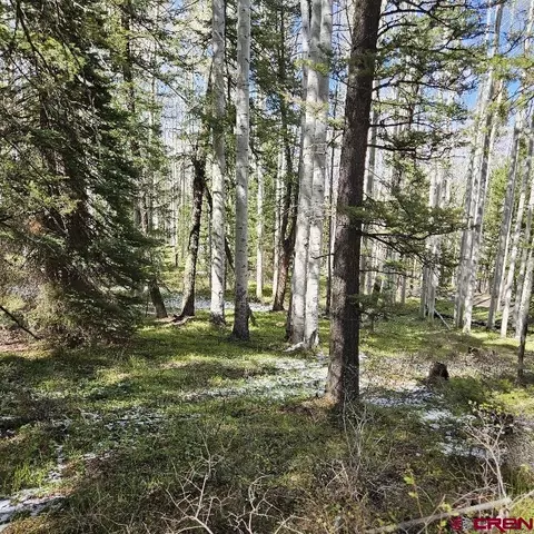 581 Crest Dr, Cimarron, CO 81220 photo 5