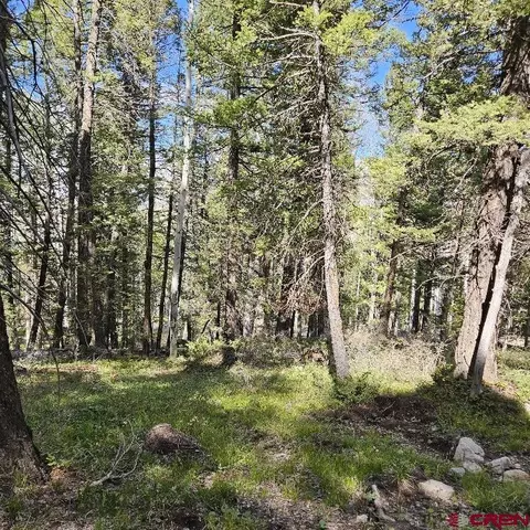 581 Crest Dr, Cimarron, CO 81220 photo 3