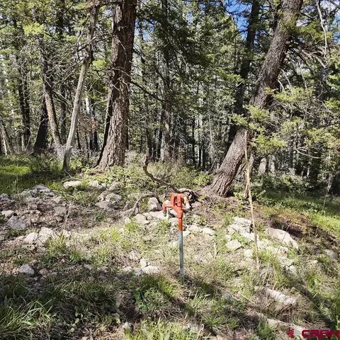 581 Crest Dr, Cimarron, CO 81220 photo 7