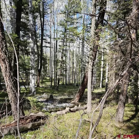 581 Crest Dr, Cimarron, CO 81220 photo 6