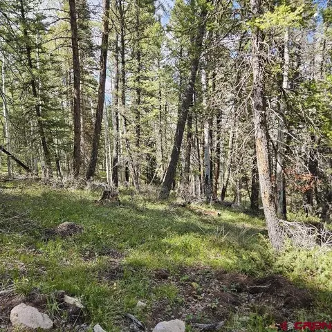581 Crest Dr, Cimarron, CO 81220 photo 2