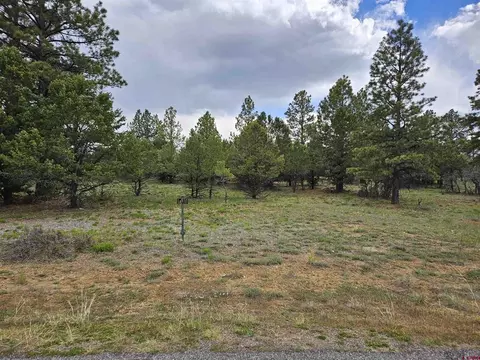 tbd Marmot Dr, Ridgway, CO 81432