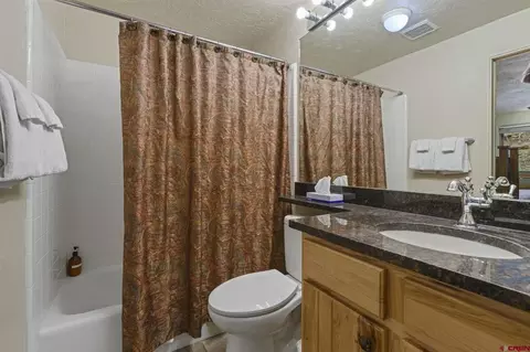 Bath - 400 Sheol St #10 & 11, Durango, CO 81301 photo 3 of 4