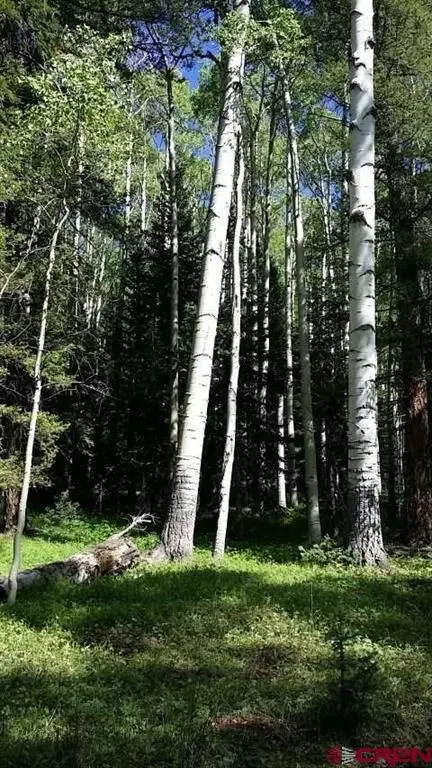 450 Ponderosa Way, Cimarron, CO 81220