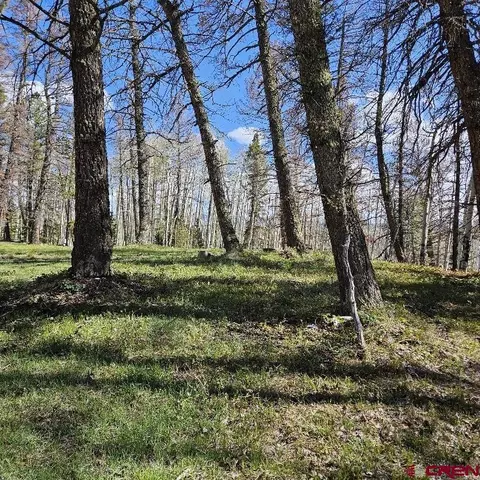 97 Aspen Trl, Cimarron, CO 81220 photo 5