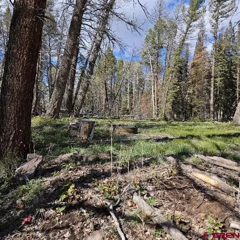 97 Aspen Trl, Cimarron, CO 81220 photo 7