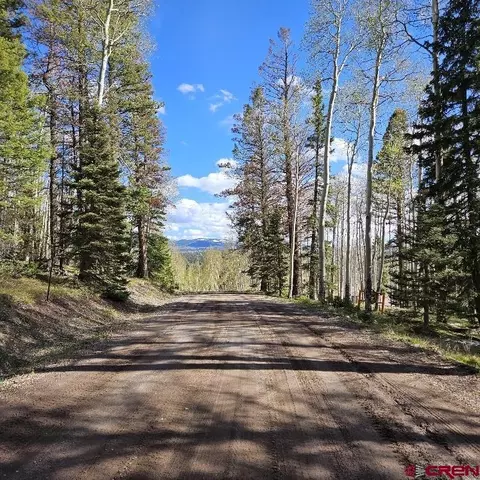 97 Aspen Trl, Cimarron, CO 81220 photo 12