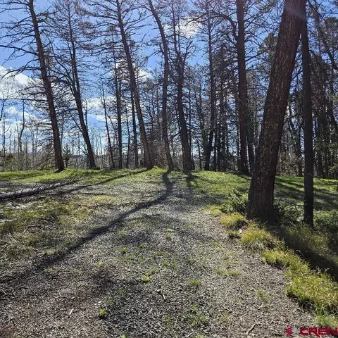 97 Aspen Trl, Cimarron, CO 81220 photo 11