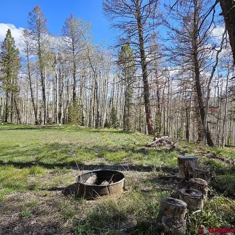 97 Aspen Trl, Cimarron, CO 81220 photo 9
