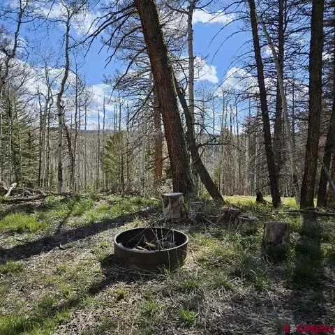 97 Aspen Trl, Cimarron, CO 81220 photo 8