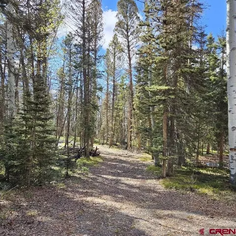 97 Aspen Trl, Cimarron, CO 81220 photo 3