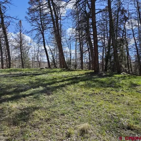 97 Aspen Trl, Cimarron, CO 81220 photo 10