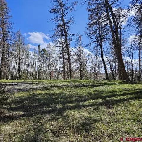 97 Aspen Trl, Cimarron, CO 81220 photo 6