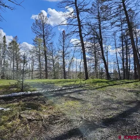 97 Aspen Trl, Cimarron, CO 81220 photo 4