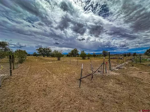 Other - 15484 Peach Rd, Cedaredge, CO 81413 photo 15 of 18