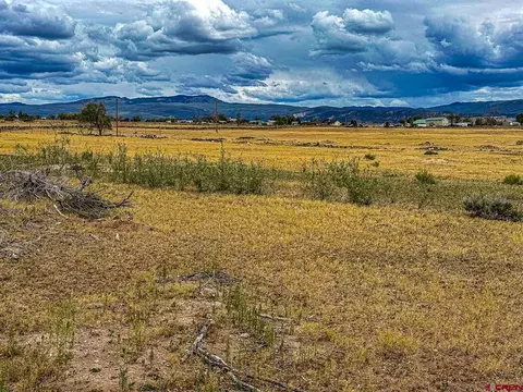Other - 15484 Peach Rd, Cedaredge, CO 81413 photo 17 of 18