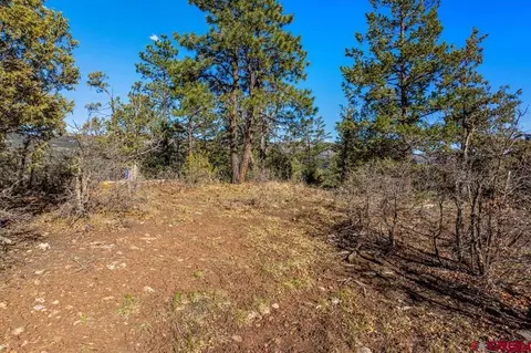 557 Glacier Cliff Dr, Durango, CO 81301 photo 33