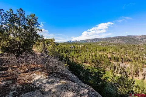 557 Glacier Cliff Dr, Durango, CO 81301 photo 29