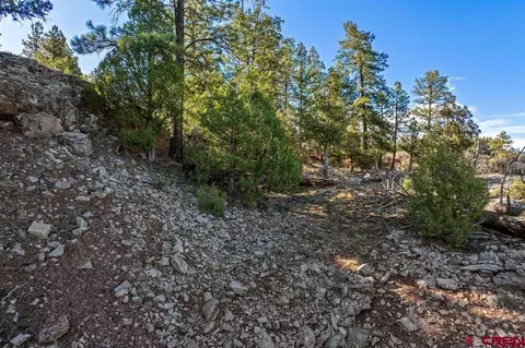 557 Glacier Cliff Dr, Durango, CO 81301 photo 27