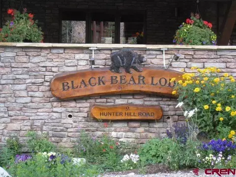 Other - 9 Hunter Hill Rd #401, Crested Butte, CO 81225 photo 12 of 12