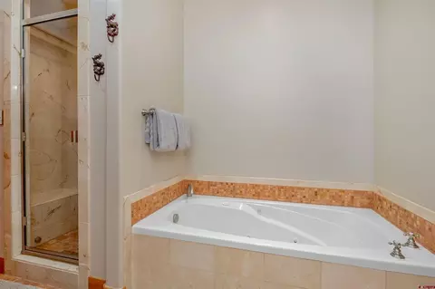Bath - 9 Hunter Hill Rd #401, Crested Butte, CO 81225 photo 6 of 7