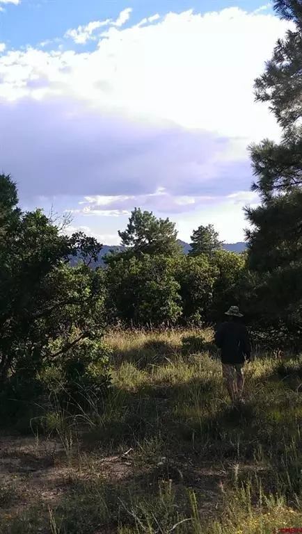 43 Butzke Ct, Pagosa Springs, CO 81147