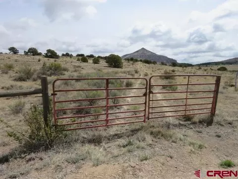 274 Antelope Trl, Del Norte, CO 81132