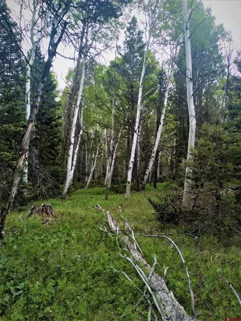 525 Crest Dr, Cimarron, CO 81220 photo 3