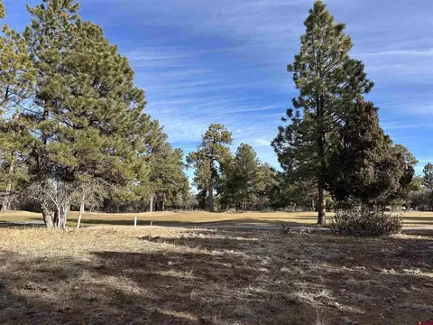 120 Puma Ln, Ridgway, CO 81432