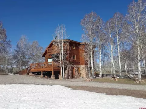 1436 Harcourt Trl, Placerville, CO 81430