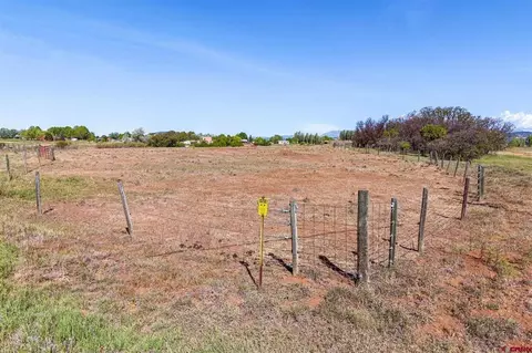 398 Wageman Rd, Durango, CO 81303 photo 19