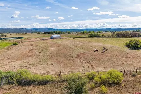 398 Wageman Rd, Durango, CO 81303 photo 15