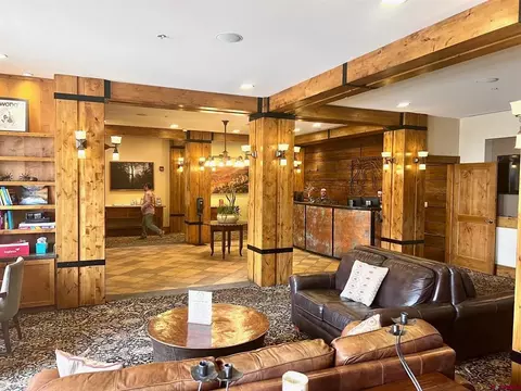 Living - 620 Gothic Rd #511, Crested Butte, CO 81225 photo 3 of 5