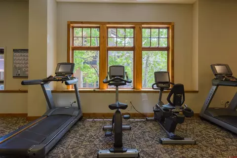 Other - 620 Gothic Rd #511, Crested Butte, CO 81225 photo 12 of 15