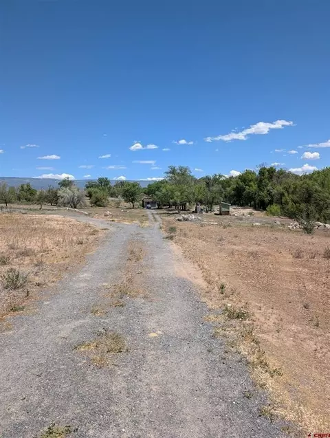 20885 Marble Rd, Eckert, CO 81418 photo 14