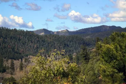 2519 County Rd 335, Pagosa Springs, CO 81147