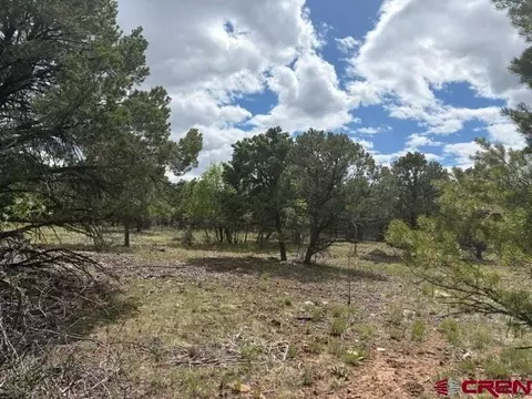 lot4 Tower Rd N, Ridgway, CO 81432