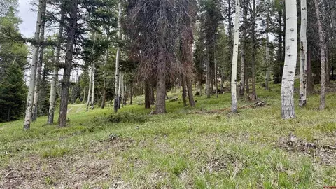 455 Ute Dr, Cimarron, CO 81220