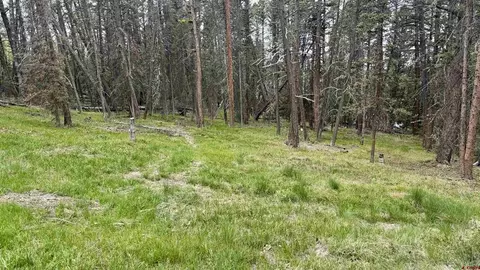 1301 Spruce Rd, Cimarron, CO 81220