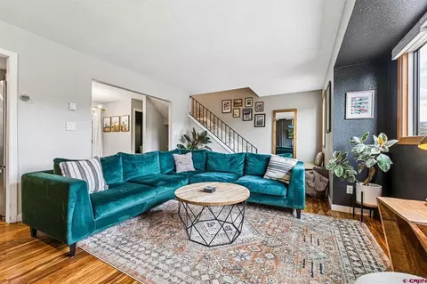 Living - 2155 W 3rd Ave # 3, Durango, CO 81301 photo 3 of 4