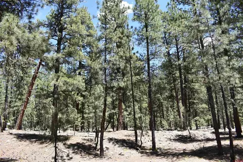 80 Ranch Rd, Vallecito Lakebayfield, CO 81122