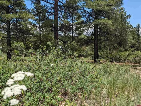 90 Balfour Ct, Pagosa Springs, CO 81147