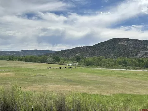 X Usfs Rd 613, Arboles, CO 81147