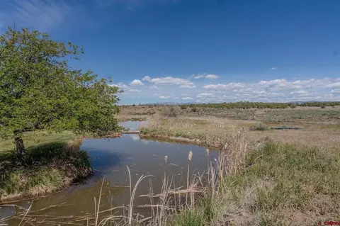 View/Area - 2355 County Road 513, Ignacio, CO 81137 photo 4 of 5