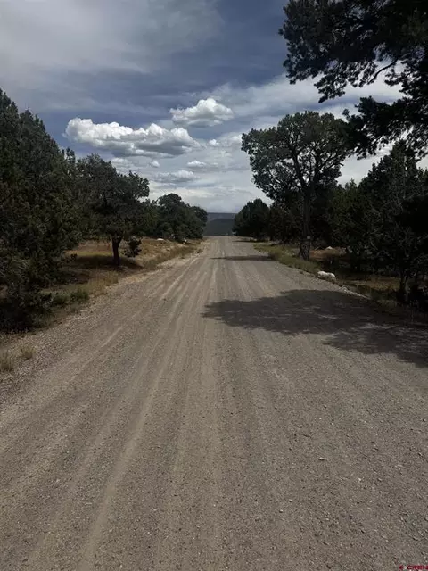 tbd 2550 Rd, Cedaredge, CO 81413 photo 6