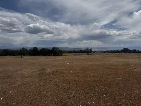 tbd 2550 Rd, Cedaredge, CO 81413