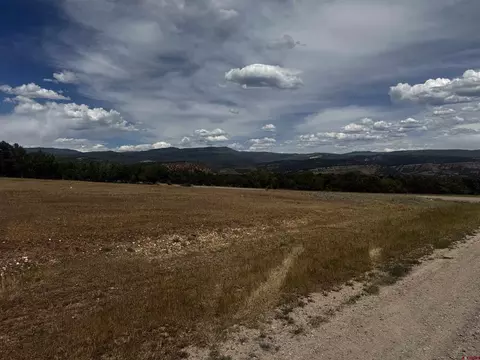 tbd 2550 Rd, Cedaredge, CO 81413 photo 5