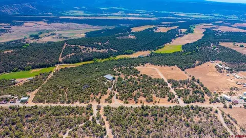 tbd 2550 Rd, Cedaredge, CO 81413 photo 3